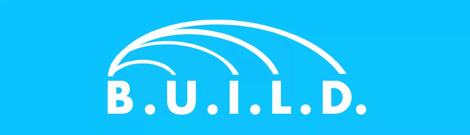 BUILD - Building, Understanding, Informing, Leading, and Developing